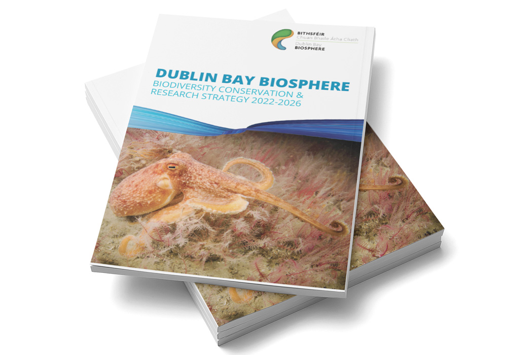 Dublin Bay Biosphere 'Biodiversity Conservation & Research Strategy 2022-2026' Report