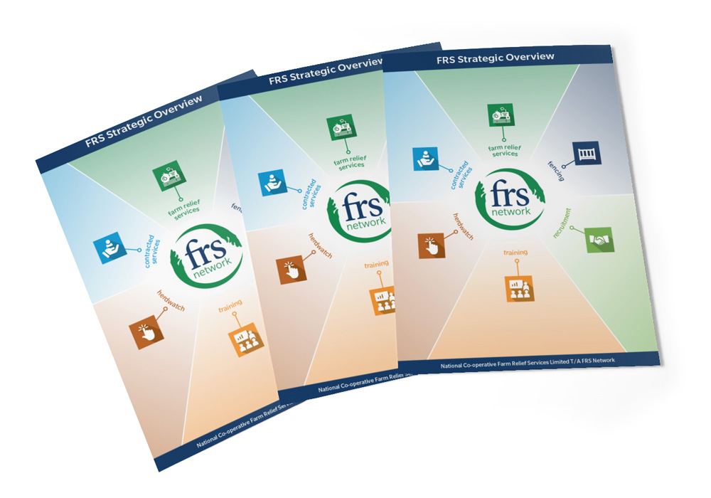 FRS Network 'Strategic Overview' Report